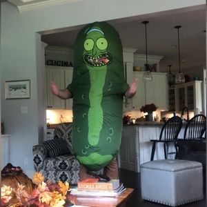 INFLATABLE PICKLE RICK COSTUME